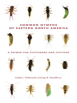 cover image of Common Nymphs of Eastern North America